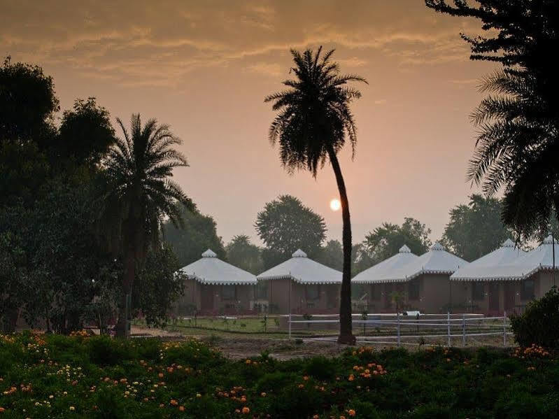 Lohana Village Resort Pushkar Eksteriør billede